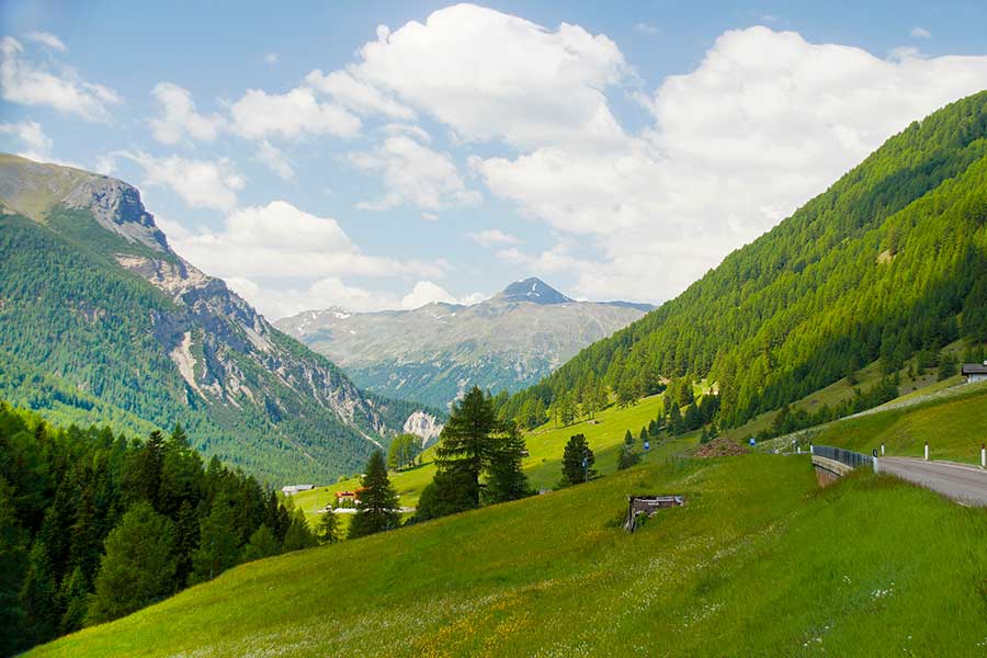 Blick in ein Tal mit bewaldeten Hängen und Almwiesen
