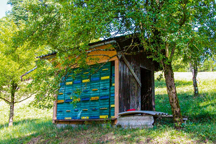 Ein kleines Holzhaus mit bunten Bienenstöcken steht an einem Hang unter Bäumen